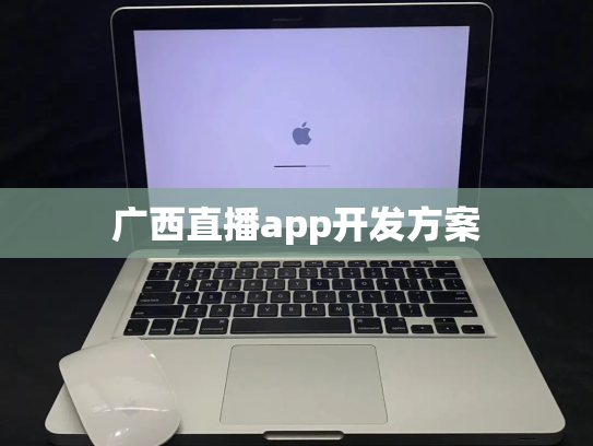 广西直播app开发方案