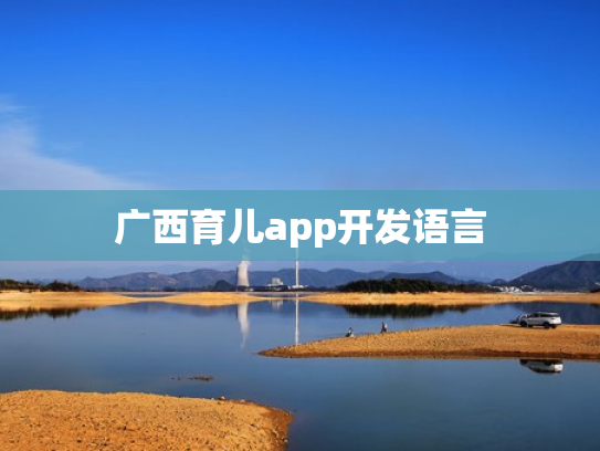广西育儿app开发语言