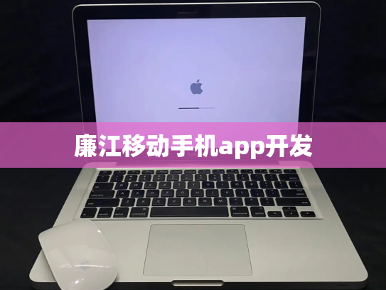 廉江移动手机app开发
