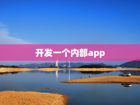 开发一个内部app