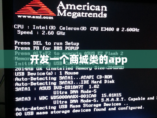 开发一个商城类的app