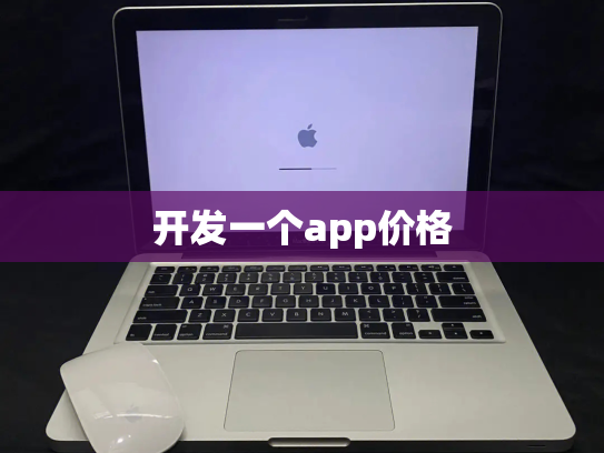 开发一个app价格