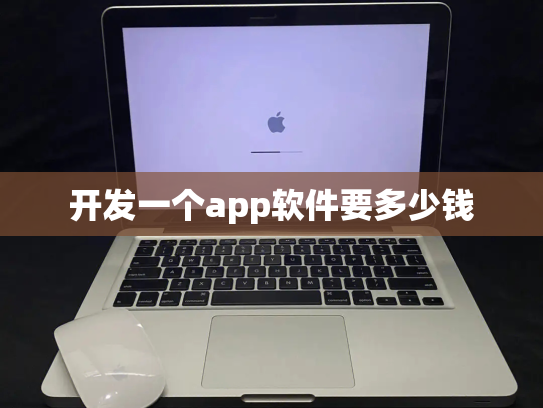 开发一个app软件要多少钱