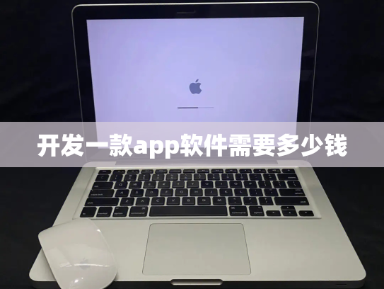 开发一款app软件需要多少钱
