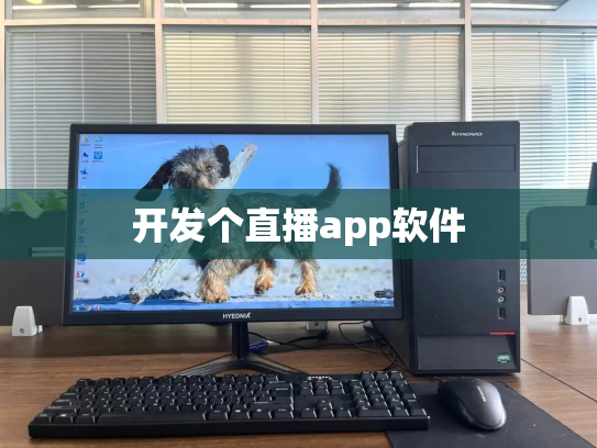 开发个直播app软件
