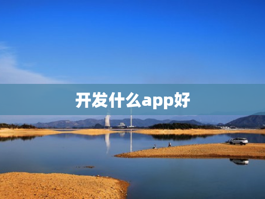 开发什么app好