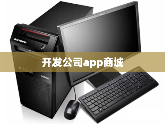 开发公司app商城