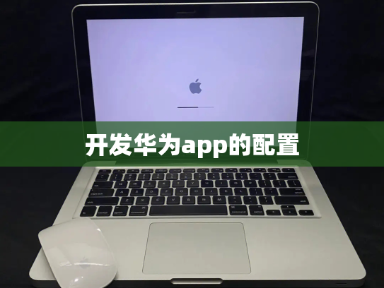 开发华为app的配置