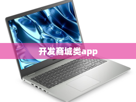 开发商城类app
