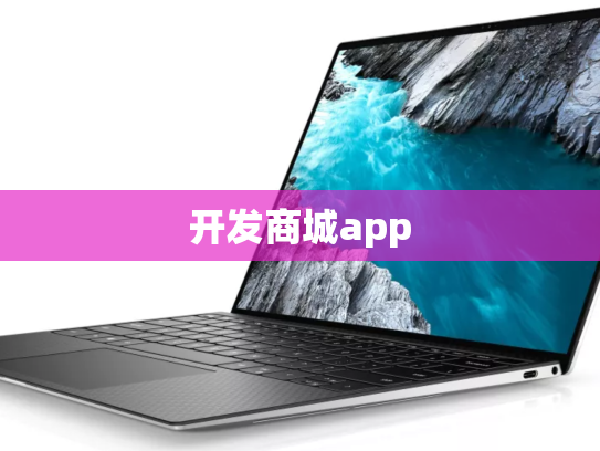 开发商城app
