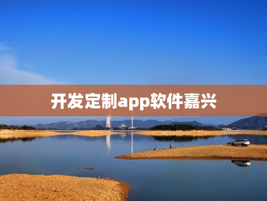 开发定制app软件嘉兴