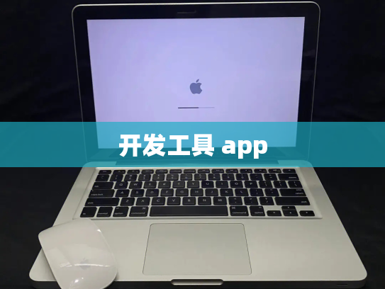 开发工具 app