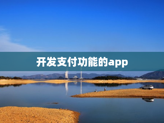 开发支付功能的app