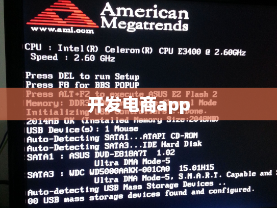 开发电商app