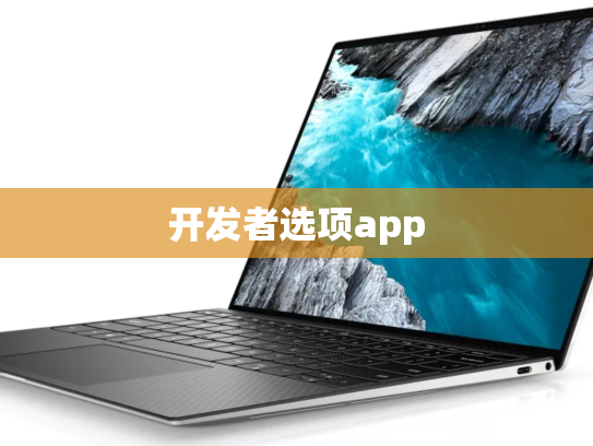 开发者选项app