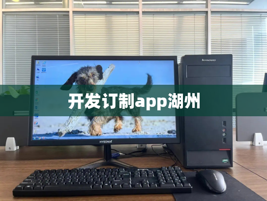 开发订制app湖州