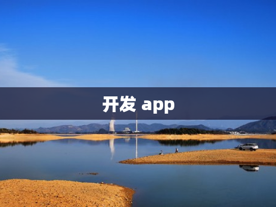 开发 app
