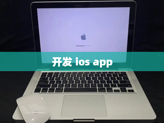 开发 ios app