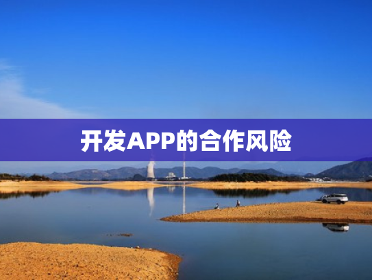开发APP的合作风险