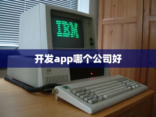 开发app哪个公司好