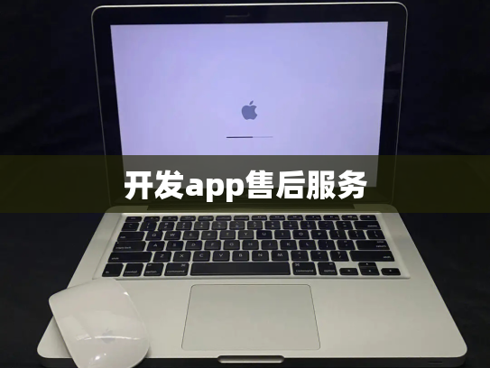 开发app售后服务