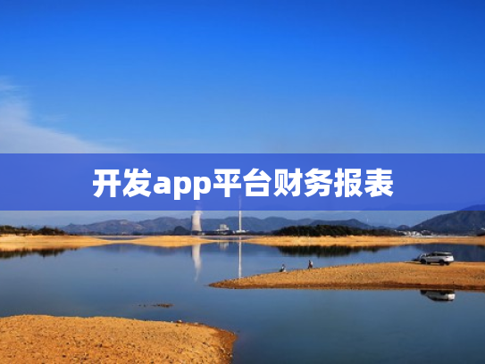 开发app平台财务报表