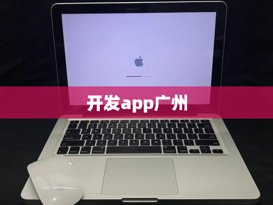 开发app广州