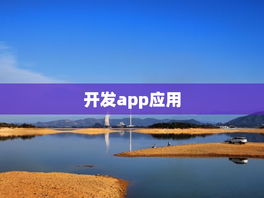 开发app应用