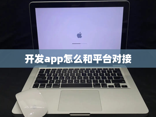 开发app怎么和平台对接