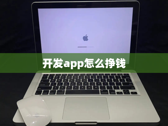 开发app怎么挣钱