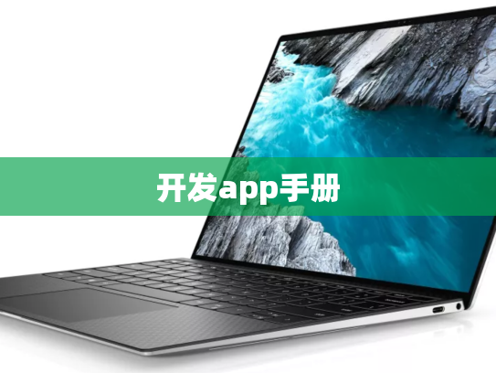 开发app手册