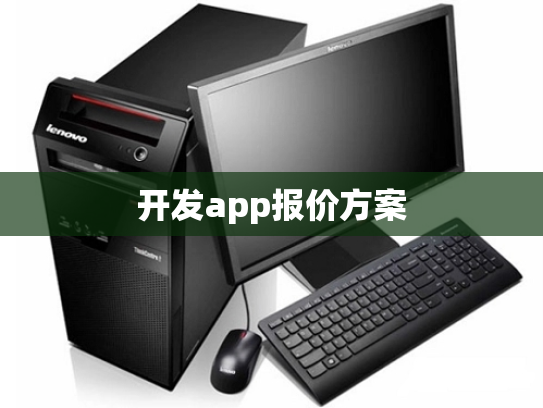 开发app报价方案