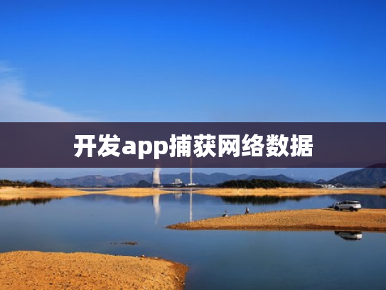 开发app捕获网络数据