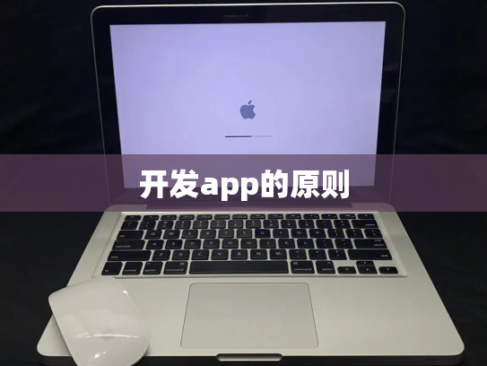 开发app的原则