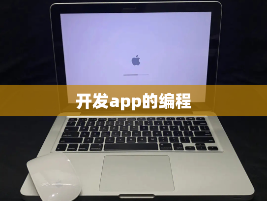 开发app的编程