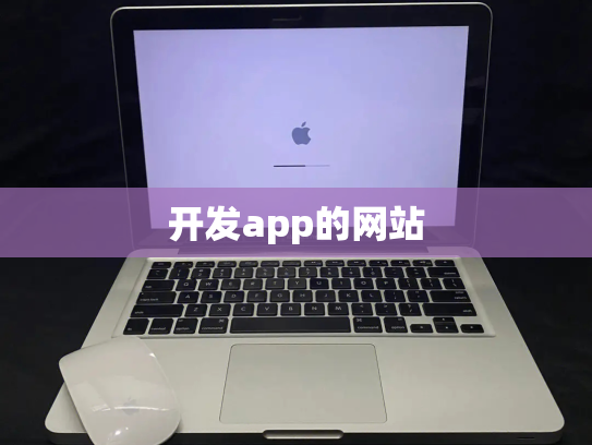 开发app的网站