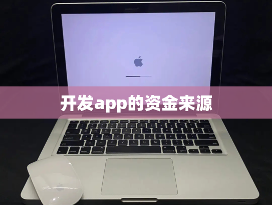 开发app的资金来源