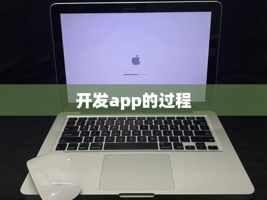 开发app的过程