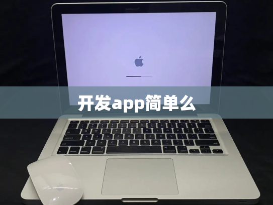 开发app简单么