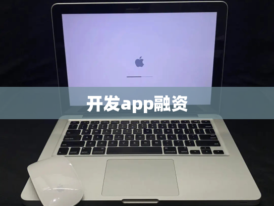 开发app融资