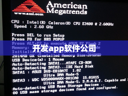开发app软件公司