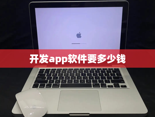 开发app软件要多少钱