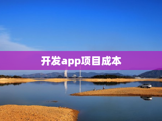 开发app项目成本