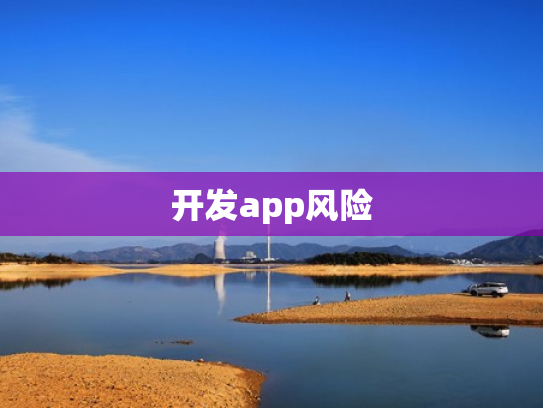 开发app风险
