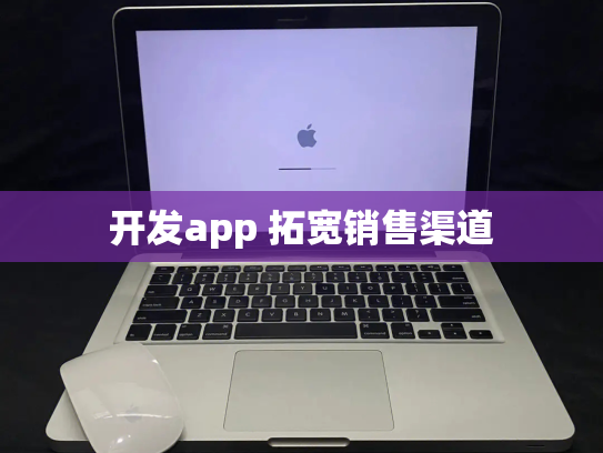 开发app 拓宽销售渠道