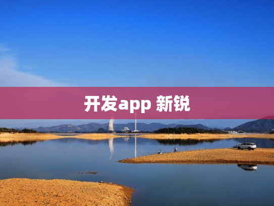 开发app 新锐