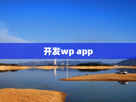 开发wp app