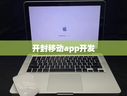 开封移动app开发