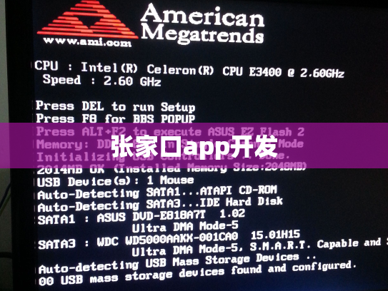 张家口app开发