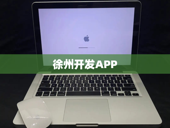 徐州开发APP
